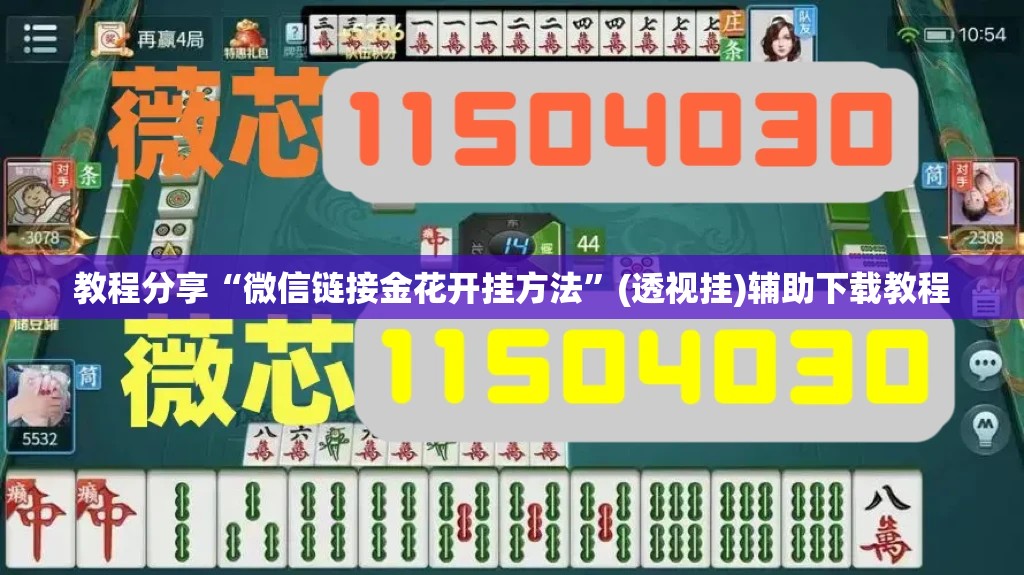教程分享“微信链接金花开挂方法”(透视挂)辅助下载教程