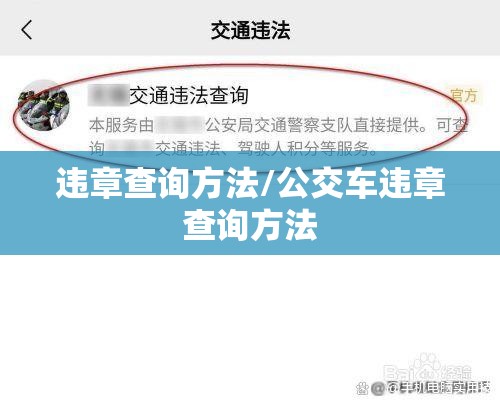 违章查询方法/公交车违章查询方法