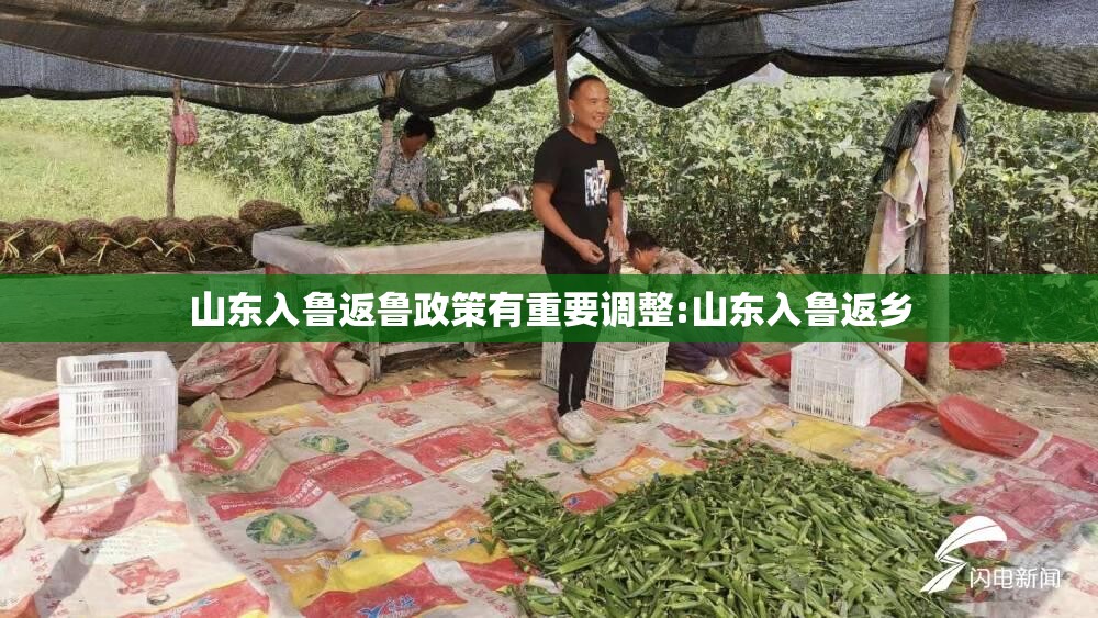 山东入鲁返鲁政策有重要调整:山东入鲁返乡
