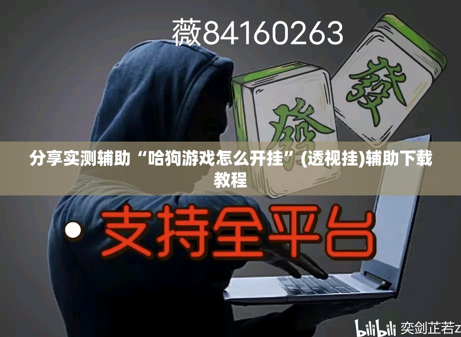 分享实测辅助“哈狗游戏怎么开挂”(透视挂)辅助下载教程