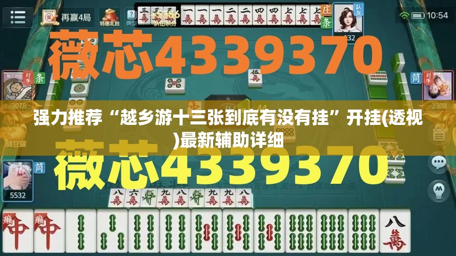 强力推荐“越乡游十三张到底有没有挂”开挂(透视)最新辅助详细