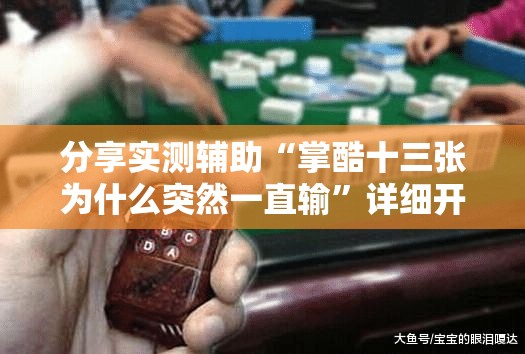 分享实测辅助“掌酷十三张为什么突然一直输”详细开挂教程