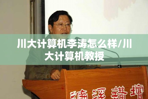 川大计算机李涛怎么样/川大计算机教授