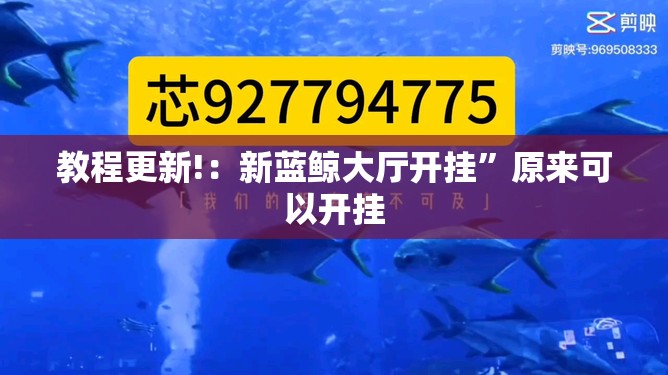 教程更新!：新蓝鲸大厅开挂”原来可以开挂