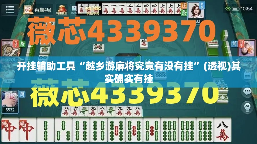 开挂辅助工具“越乡游麻将究竟有没有挂”(透视)其实确实有挂