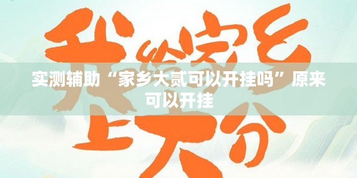 实测辅助“家乡大贰可以开挂吗”原来可以开挂