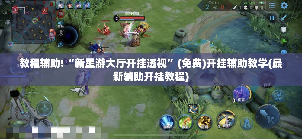 教程辅助!“新星游大厅开挂透视”(免费)开挂辅助教学(最新辅助开挂教程)