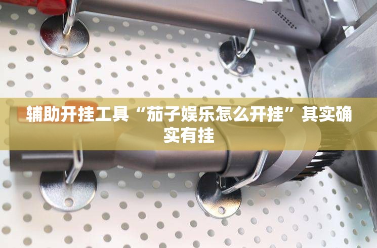 辅助开挂工具“茄子娱乐怎么开挂”其实确实有挂