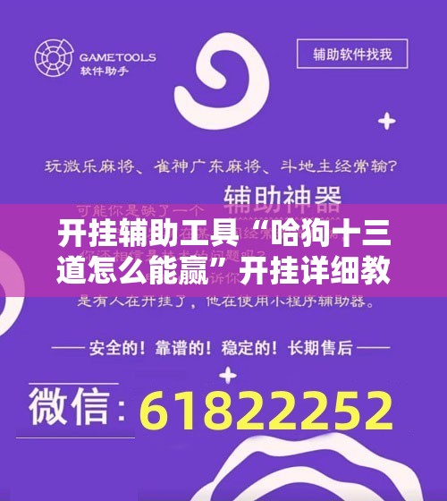 开挂辅助工具“哈狗十三道怎么能赢	”开挂详细教程
