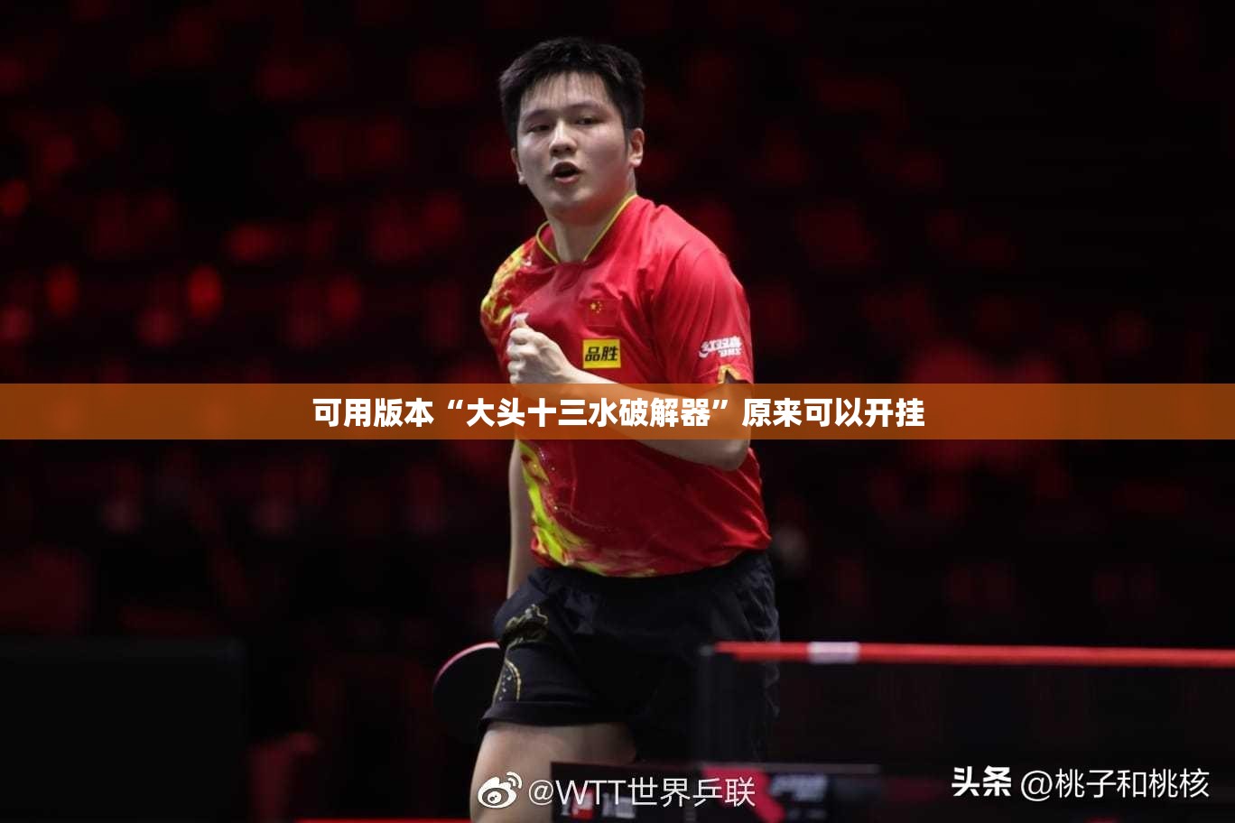可用版本“大头十三水破解器	”原来可以开挂