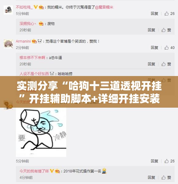 实测分享“哈狗十三道透视开挂”开挂辅助脚本+详细开挂安装教程