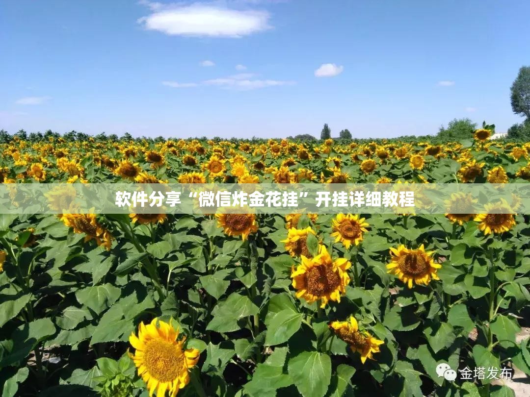 软件分享“微信炸金花挂”开挂详细教程