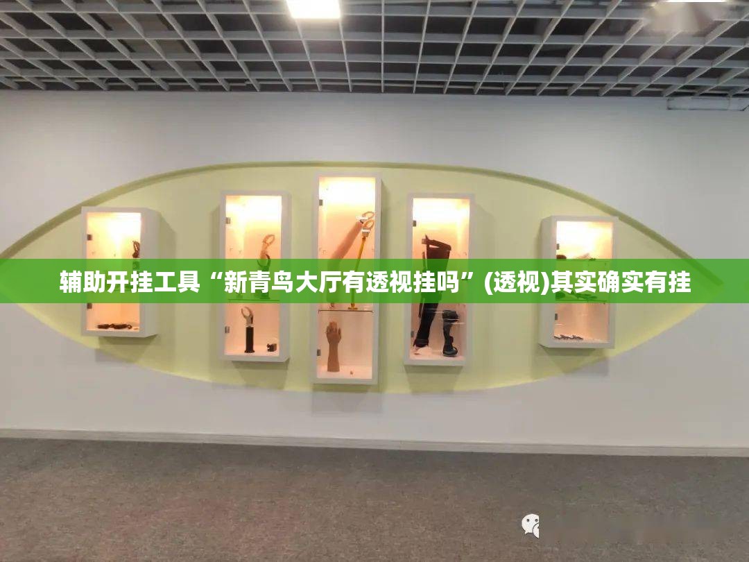 辅助开挂工具“新青鸟大厅有透视挂吗”(透视)其实确实有挂