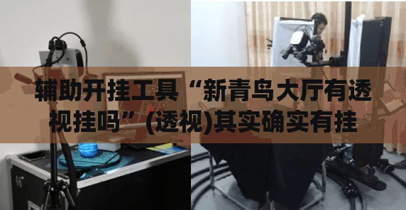 辅助开挂工具“新青鸟大厅有透视挂吗”(透视)其实确实有挂