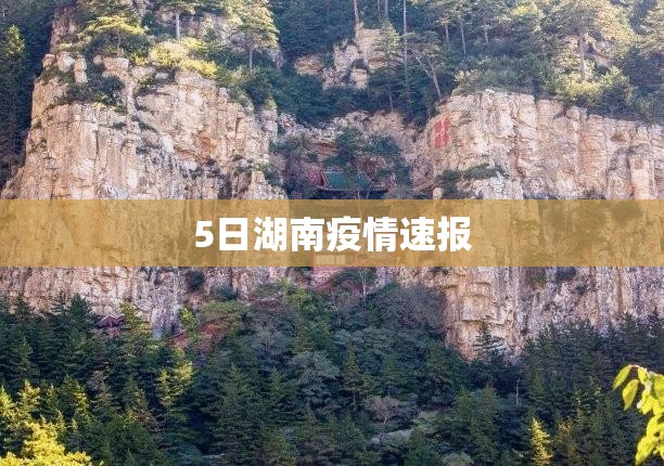 5日湖南疫情速报（湖南疫情5例）