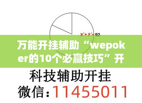 万能开挂辅助“wepoker的10个必赢技巧	”开挂(透视)辅助教程