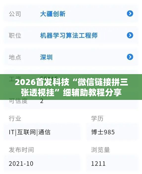 2026首发科技“微信链接拼三张透视挂”细辅助教程分享