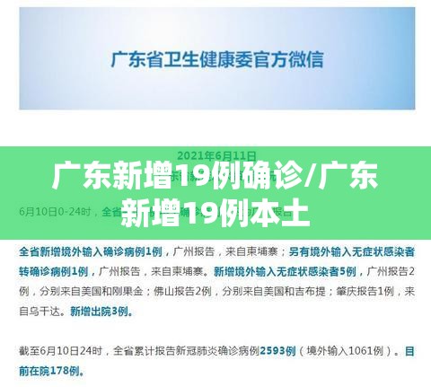 广东新增19例确诊/广东新增19例本土