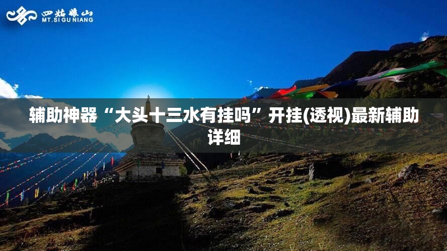 辅助神器“大头十三水有挂吗”开挂(透视)最新辅助详细