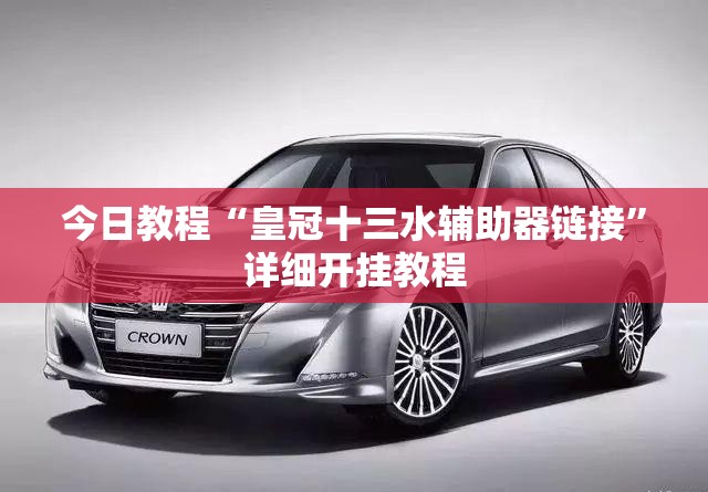 今日教程“皇冠十三水辅助器链接”详细开挂教程