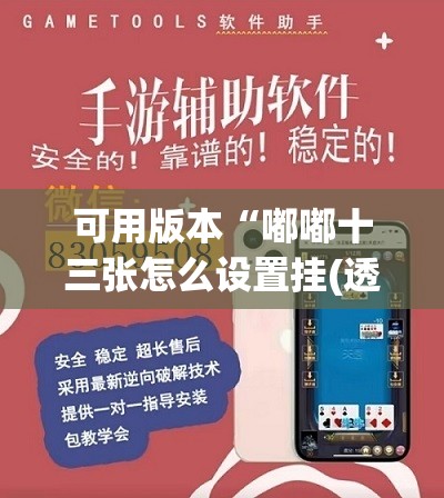 可用版本“嘟嘟十三张怎么设置挂(透视)”开挂辅助脚本+详细开挂安装教程