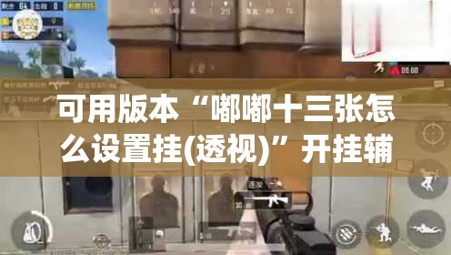 可用版本“嘟嘟十三张怎么设置挂(透视)	”开挂辅助脚本+详细开挂安装教程