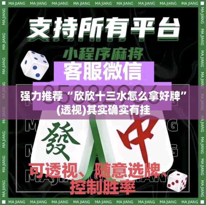 强力推荐“欣欣十三水怎么拿好牌”(透视)其实确实有挂