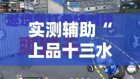 实测辅助“上品十三水怎么开挂	”科技辅助神器手机版