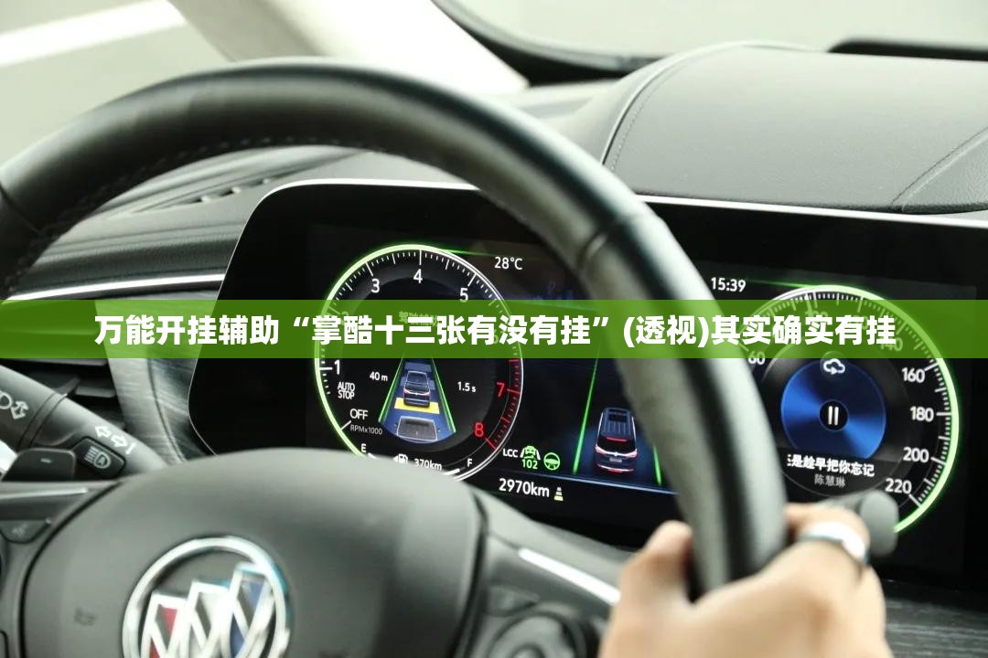 万能开挂辅助“掌酷十三张有没有挂”(透视)其实确实有挂