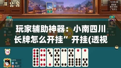 玩家辅助神器：小南四川长牌怎么开挂”开挂(透视)辅助神器