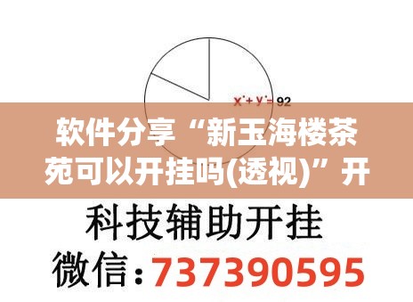 软件分享“新玉海楼茶苑可以开挂吗(透视)	”开挂辅助脚本+详细开挂安装教程