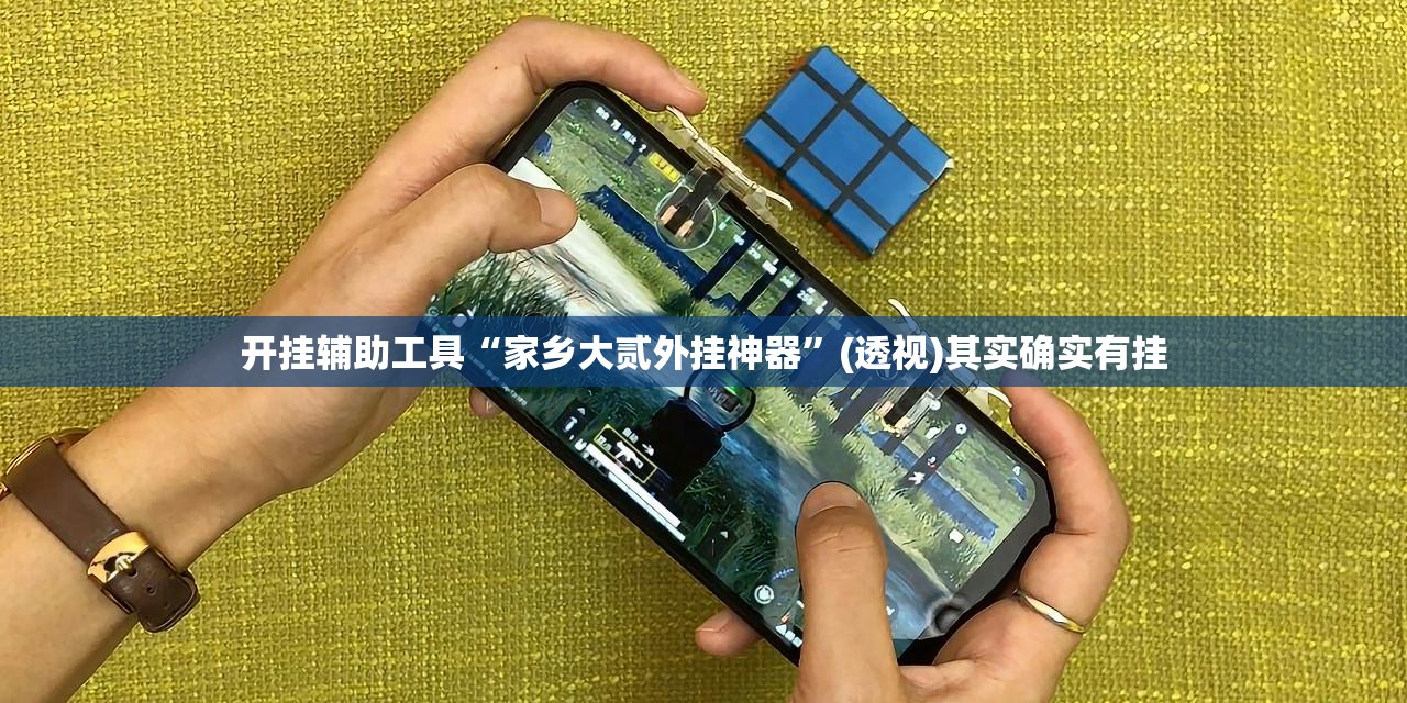 开挂辅助工具“家乡大贰外挂神器”(透视)其实确实有挂