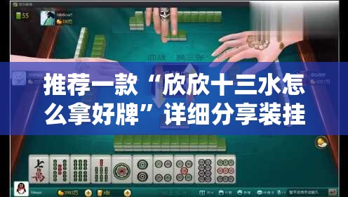 推荐一款“欣欣十三水怎么拿好牌	”详细分享装挂步骤
