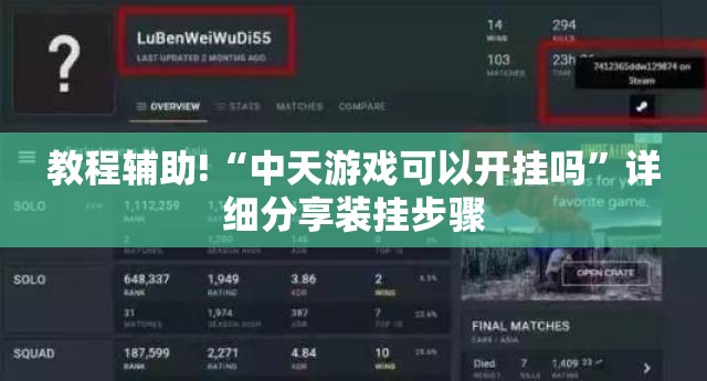 教程辅助!“中天游戏可以开挂吗”详细分享装挂步骤