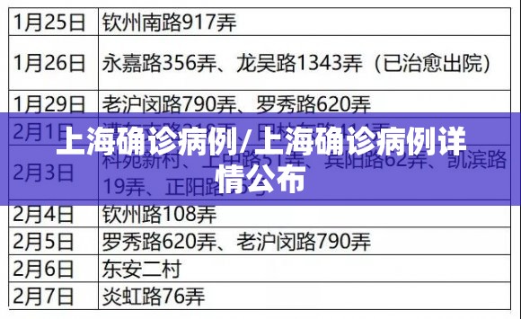上海确诊病例/上海确诊病例详情公布
