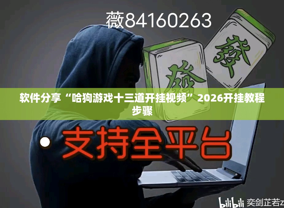 软件分享“哈狗游戏十三道开挂视频	”2026开挂教程步骤