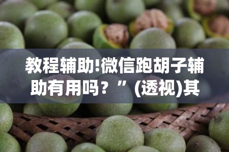 教程辅助!微信跑胡子辅助有用吗？”(透视)其实确实有挂
