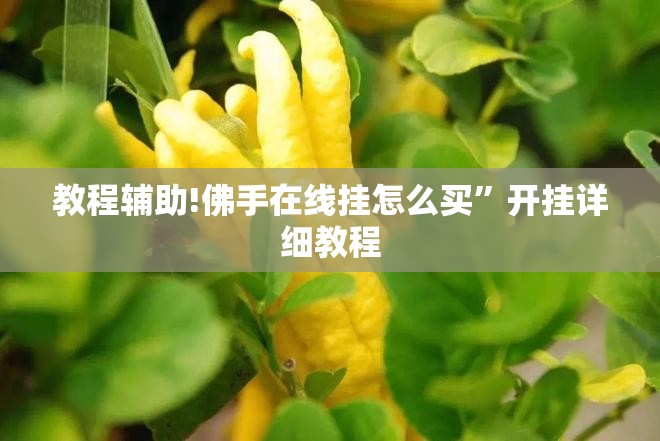 教程辅助!佛手在线挂怎么买	”开挂详细教程