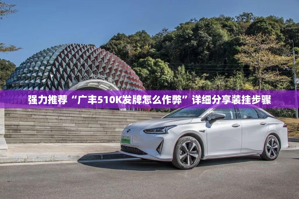 强力推荐“广丰510K发牌怎么作弊”详细分享装挂步骤