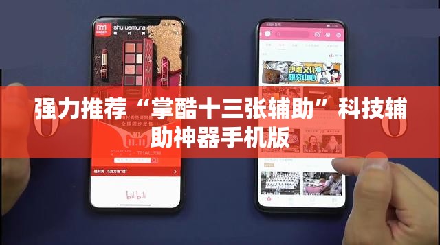 强力推荐“掌酷十三张辅助”科技辅助神器手机版