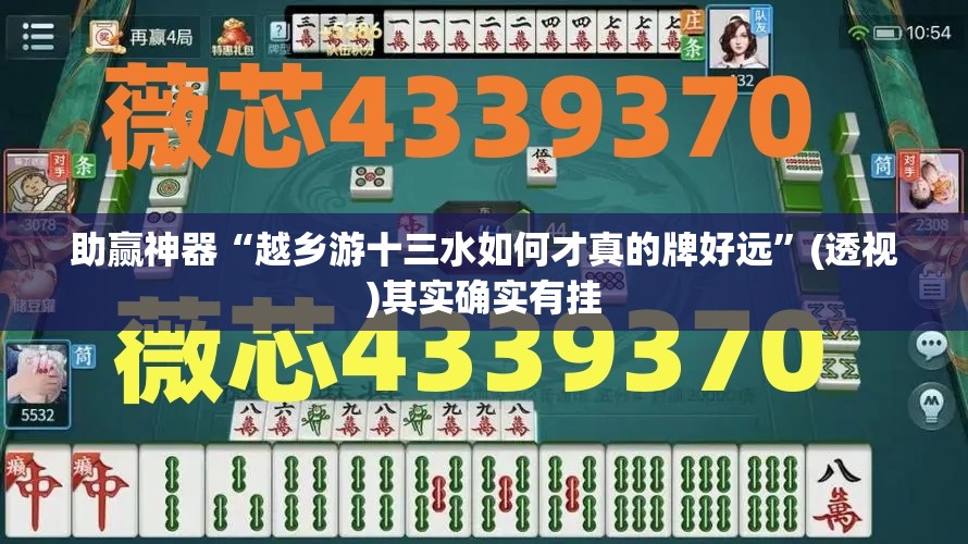 助赢神器“越乡游十三水如何才真的牌好远”(透视)其实确实有挂