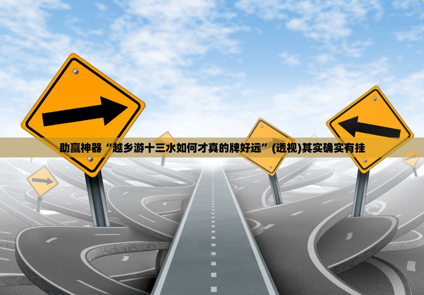 助赢神器“越乡游十三水如何才真的牌好远	”(透视)其实确实有挂