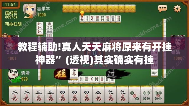 教程辅助!真人天天麻将原来有开挂神器”(透视)其实确实有挂