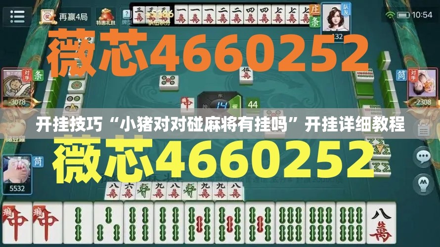 开挂技巧“小猪对对碰麻将有挂吗	”开挂详细教程