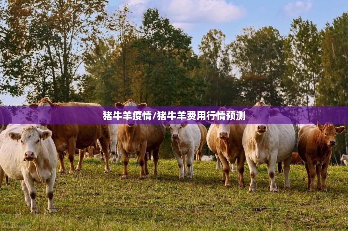 猪牛羊疫情/猪牛羊费用行情预测