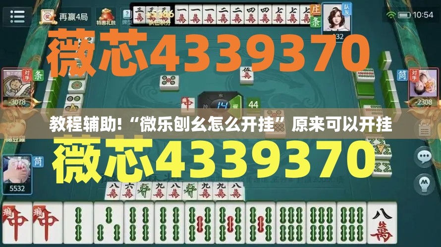 教程辅助!“微乐刨幺怎么开挂”原来可以开挂