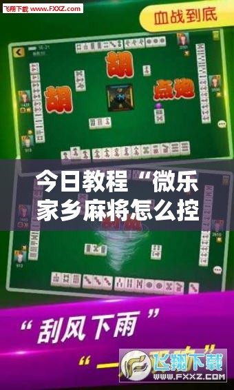 今日教程“微乐家乡麻将怎么控制输赢”原来可以开挂