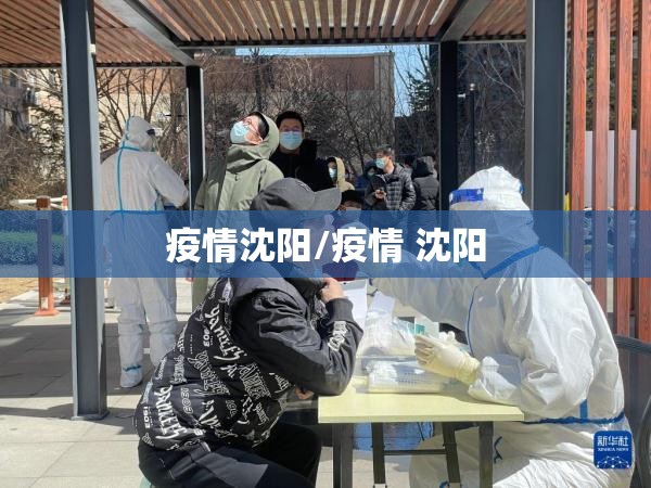 疫情沈阳/疫情 沈阳