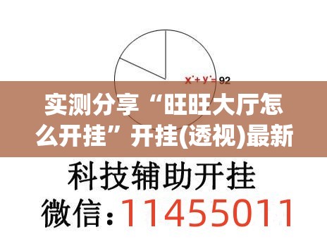 实测分享“旺旺大厅怎么开挂”开挂(透视)最新辅助详细