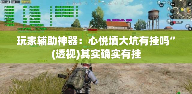 玩家辅助神器：心悦填大坑有挂吗”(透视)其实确实有挂